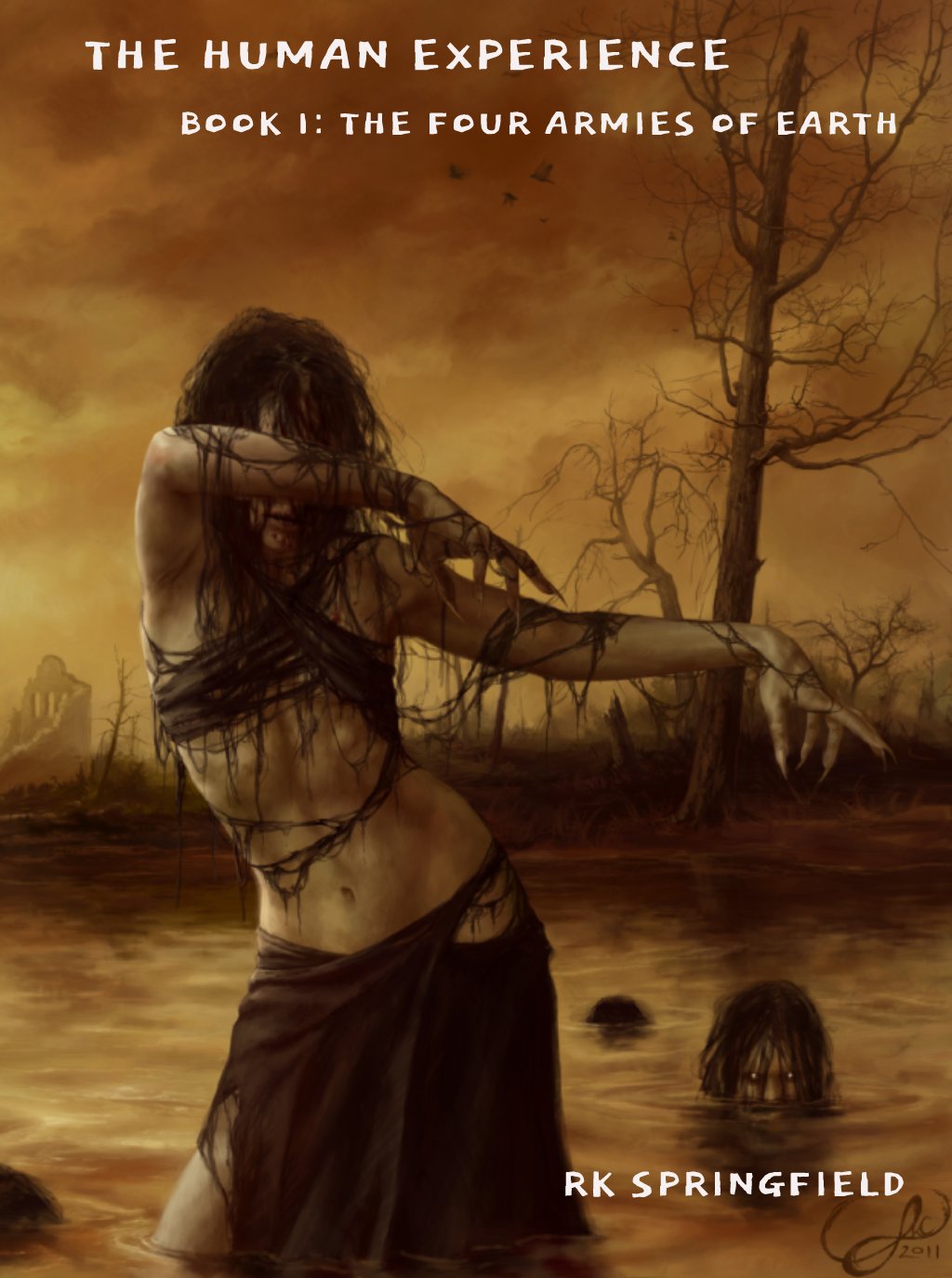 The cover of The Human Experience: Book 1 by Rk Springfield