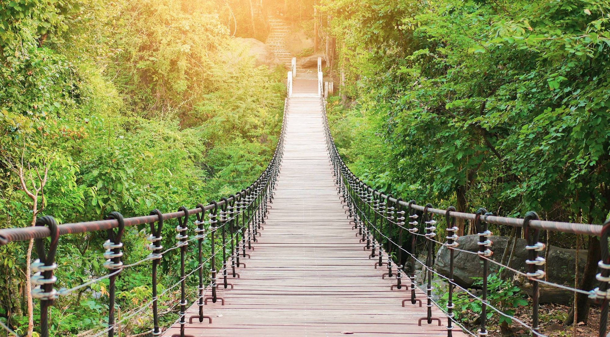 A wooden footbridge leading into a forest